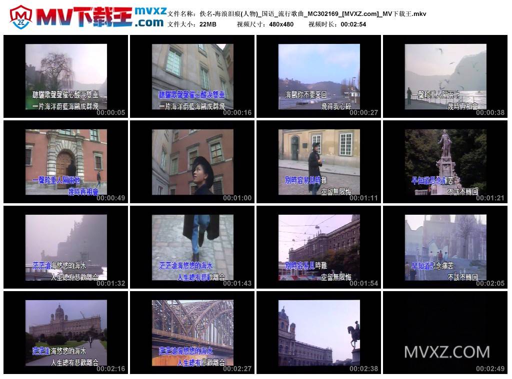 佚名-海浪泪痕(人物)_国语_流行歌曲_MC302169